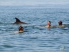 Nado con Delfines