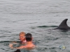 Puerto Vallarta Delfines
