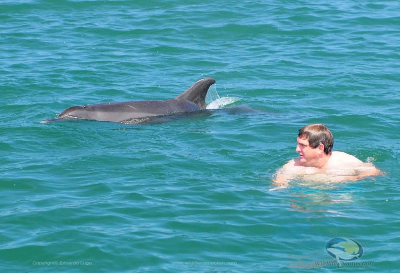 Delfines Vallarta