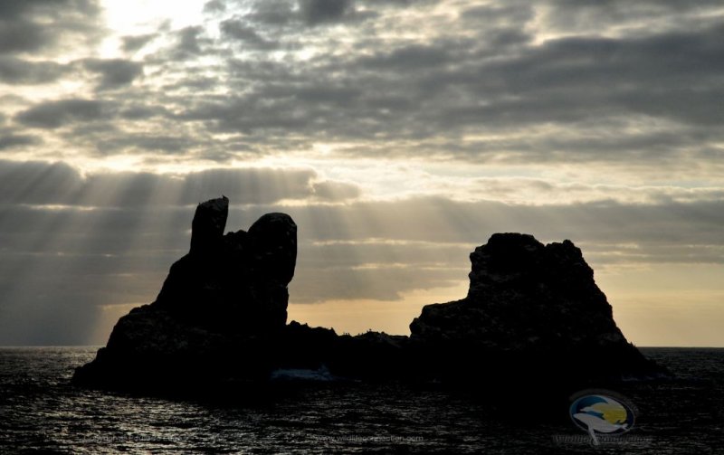 Isla Partida