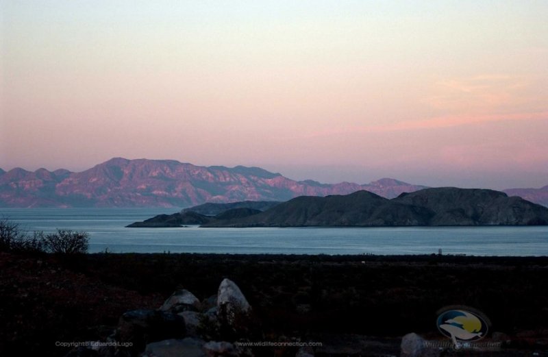 Bahia de los Angeles