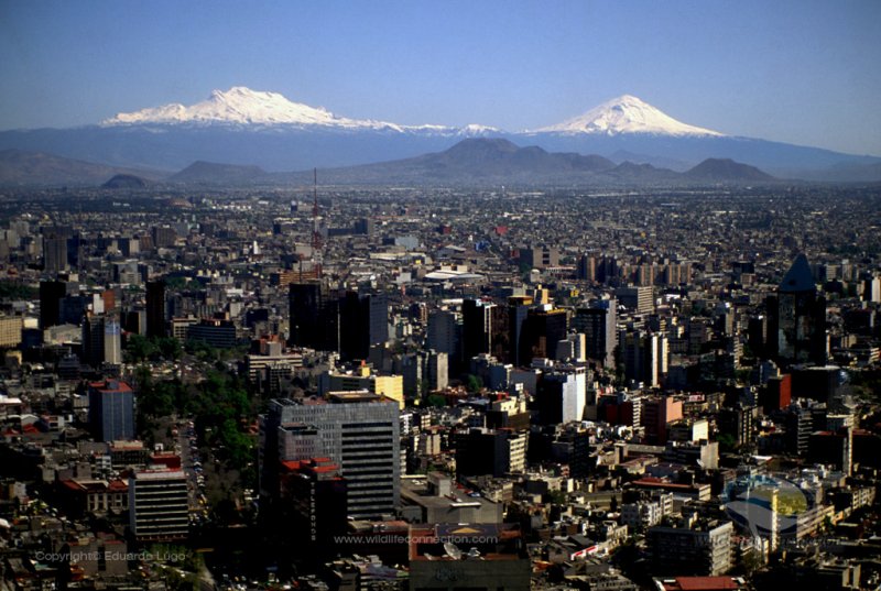 Mexico City