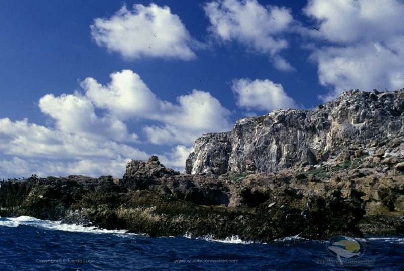 Islas Marietas