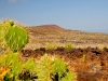 Socorro Island