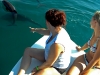 tour con delfines