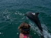 Dolphin Tour