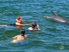 Swim With Dolphins