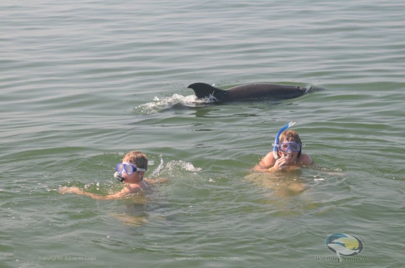 Tour de Delfines