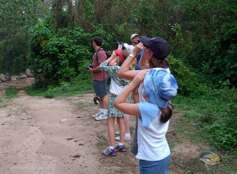 Birdwatching Tour